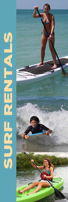 Surf gear